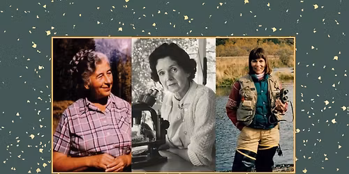 Trailblazers of the Wild