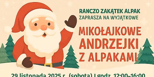 🎅✨ MIKOŁAJKOWE ANDRZEJKI Z ALPAKAMI! ✨🎁