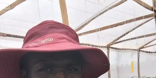 Tomatoes and Bell Pepper Training