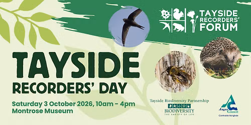 Tayside Recorders' Day 2026