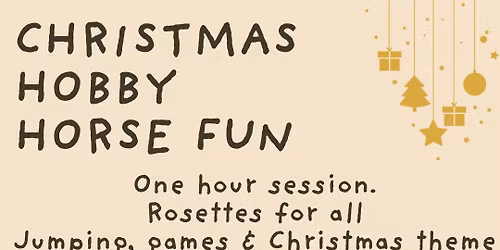 Christmas Hobby Horse Fun