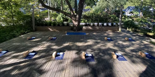 Toronto Island Oasis Weekly Yoga & Pilates Classes