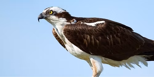 Bird Walk at World's End