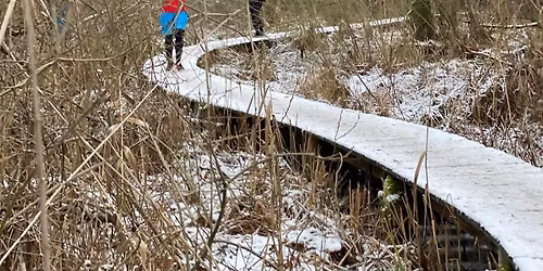 GUUT 60+ Winter 2026