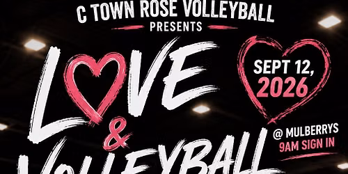 Love & Volleyball: Twice the Love, Twice the Volleyball