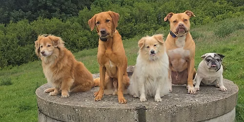 Yellowcraigs Pack Walk