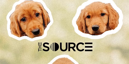 Puppies + Pulses PART 3 | [solidcore] x Golden Acre Puppies @ The Source