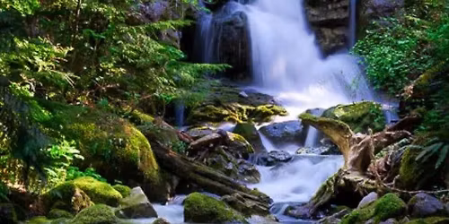 Forest Waterfall Paint Night