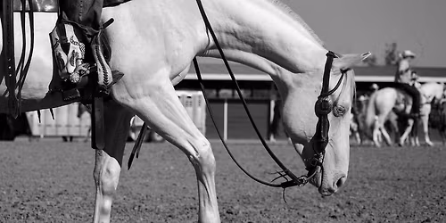 Best Of The West Select Sale & DTG Tagged Out Ranch Rodeo