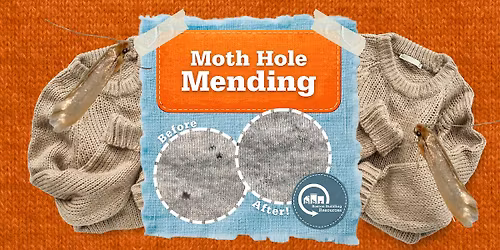 Moth Hole Mending