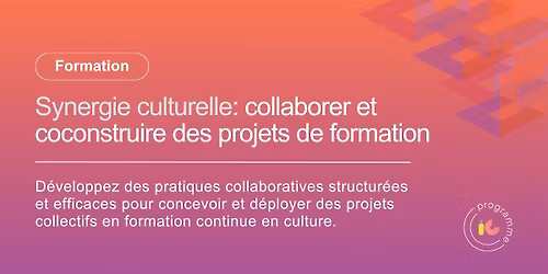 Synergie culturelle: collaborer et coconstuire des projets de formation