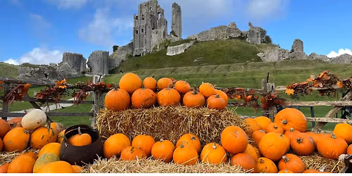 October Half Term