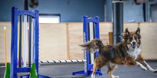 Agility Foundations 1