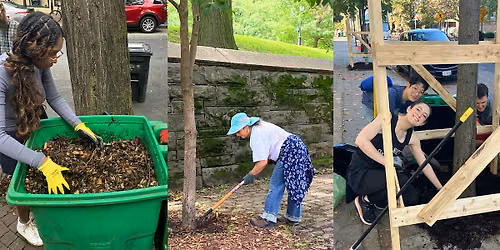 Street Tree Care on the Upper East Side