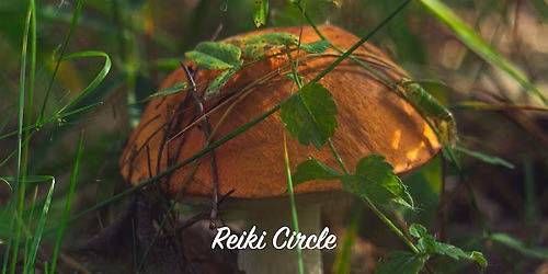 Reiki Circle & Channeling