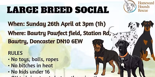 Large Breeds Social