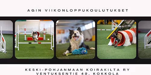 Juulia Savolaisen agilityvalmennus Kokkolassa
