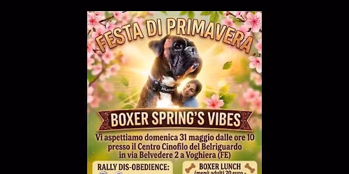 Festa di Primavera - Boxer Spring's Vibes 