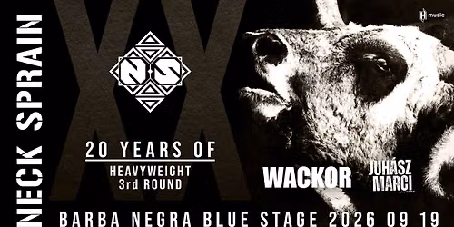 NECK SPRAIN - 20 years of Heavyweight 3rd Round @ Barba Negra, Budapest