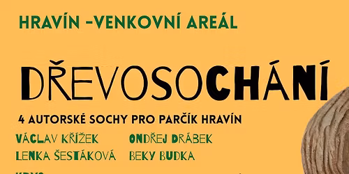 D\u0158EVOSOCH\u00c1N\u00cd - Hrav\u00edn