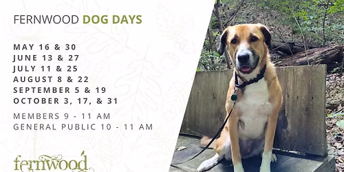 FERNWOOD DOG DAYS