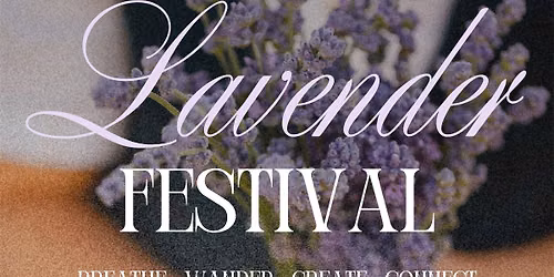 Four Suns Farm Lavender Festival