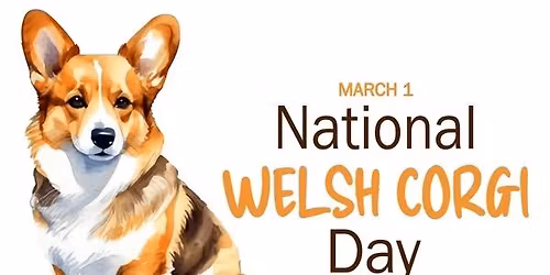 Corgi Meet-up (GB area)