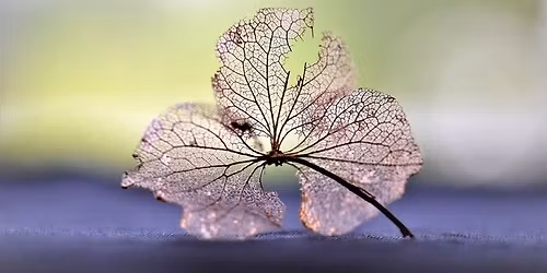 Sanselig adventsgudstjeneste