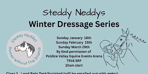 Steddy Neddys Winter Dressage