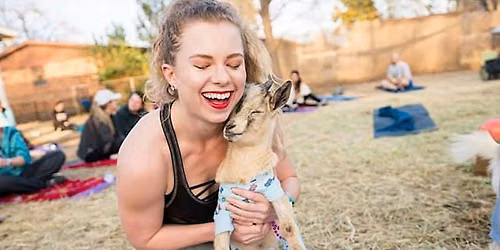 Halloween Goat Yoga - Bedford Public Library!