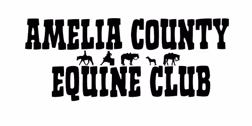 ACEC Open Horse Show