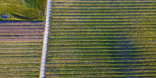Knowles Brothers Family Luncheon
