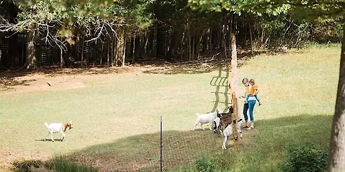 Music & Me: At the Farm x Old Mill Farm