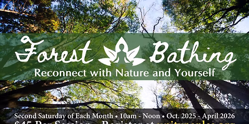 Forest Bathing | Reconnect with Nature and Yourself