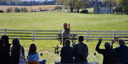 Parking The Irish Descendants