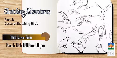 Sketching Adventures with Karen Sako: Part 3-Gesture Sketching Birds