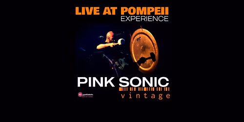PINK SONIC Vintage | Live at Pompeii Experience