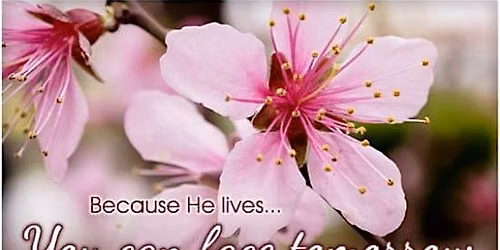 Weekly Sunday Worship - Hyvots Bank church of Christ