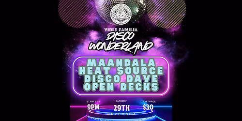 Disco wonderland