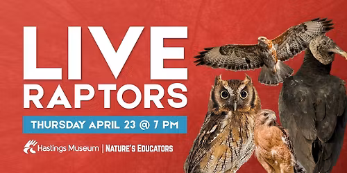 Live Raptors with Nature's Educators