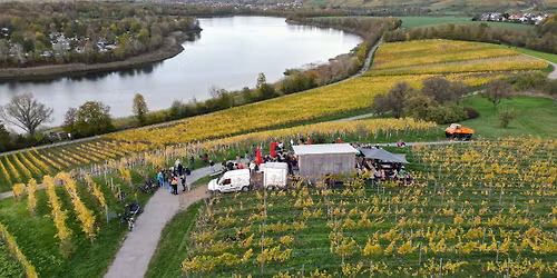 Wengertsh\u00e4usle am Breitenauer See