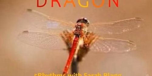 Dragon | A 5Rhythms Waves Workshop