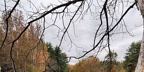 Mapping The Sawkill Walking Tour #2 | Explore Little Deep to Big Deep
