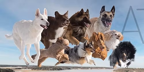 ATD:n agilityepikset su 3.5.