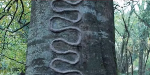 Stories That Shaped Us