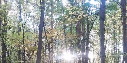 Deep Reset: Chakra Alignment Through Breath and Hypnosis