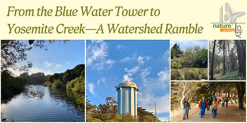 From the Blue Water Tower to Yosemite Creek\u2014A Watershed Ramble