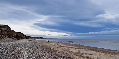 Beach Clean - Seaham Hall