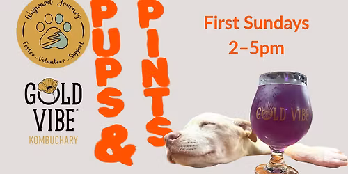 Pups and Pints: First Sundays at Gold Vibe