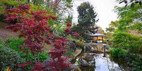 Visita e pic nic steampunk nell'Orto Botanico di Roma